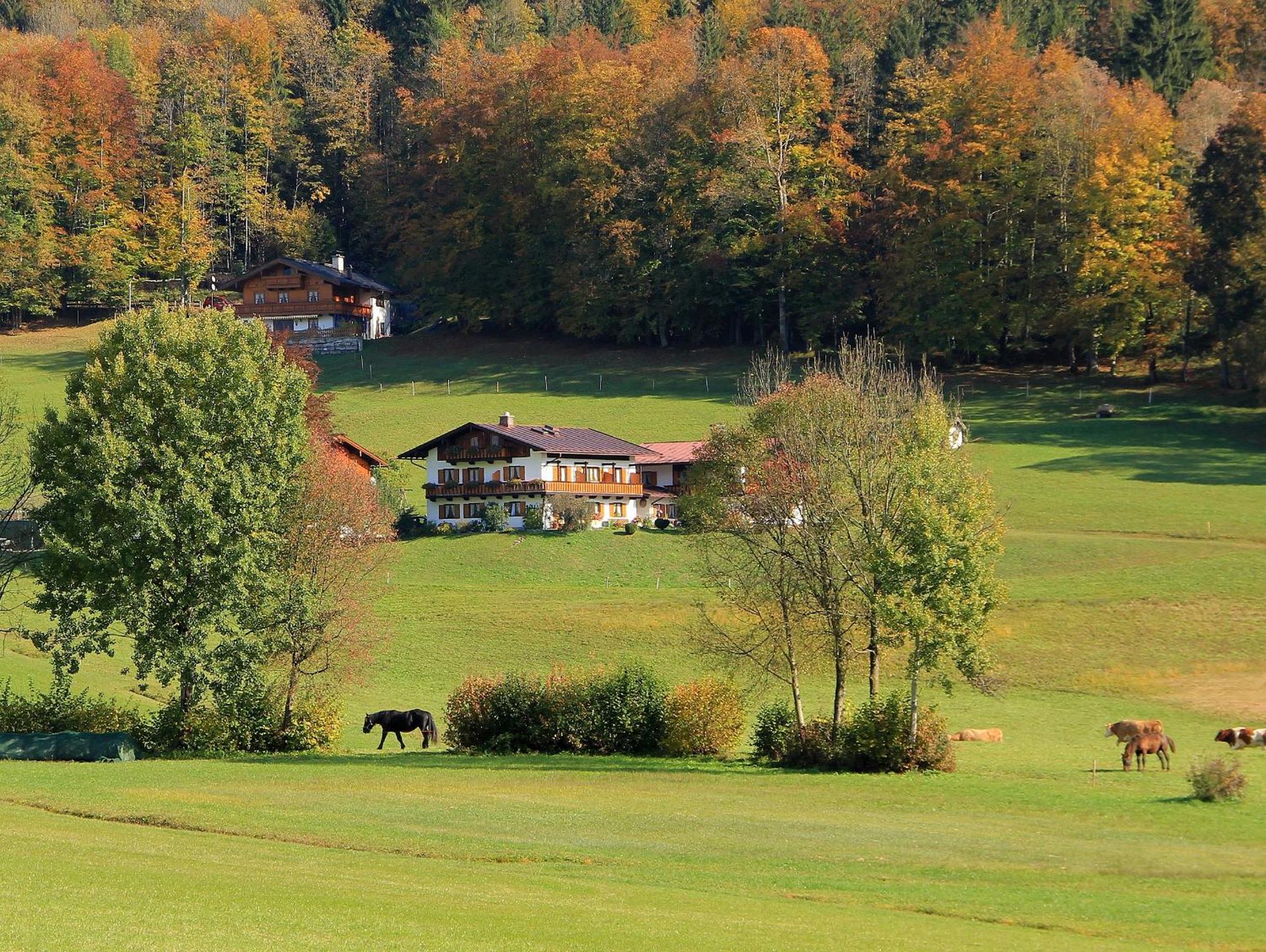 Apartament Obergoebllehen Schönau am Königssee Zewnętrze zdjęcie
